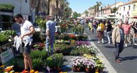 Blumenmarkt in La Londe